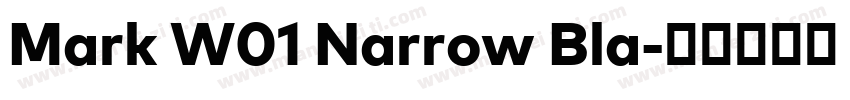 Mark W01 Narrow Bla字体转换